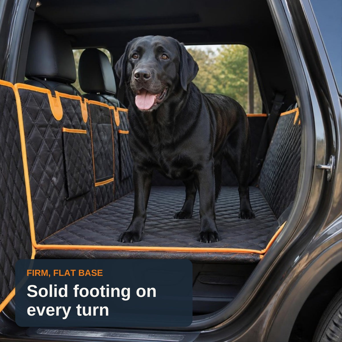 Firm, flat base: solid footing on every turn. Black Labrador standing on the TrekFold base
