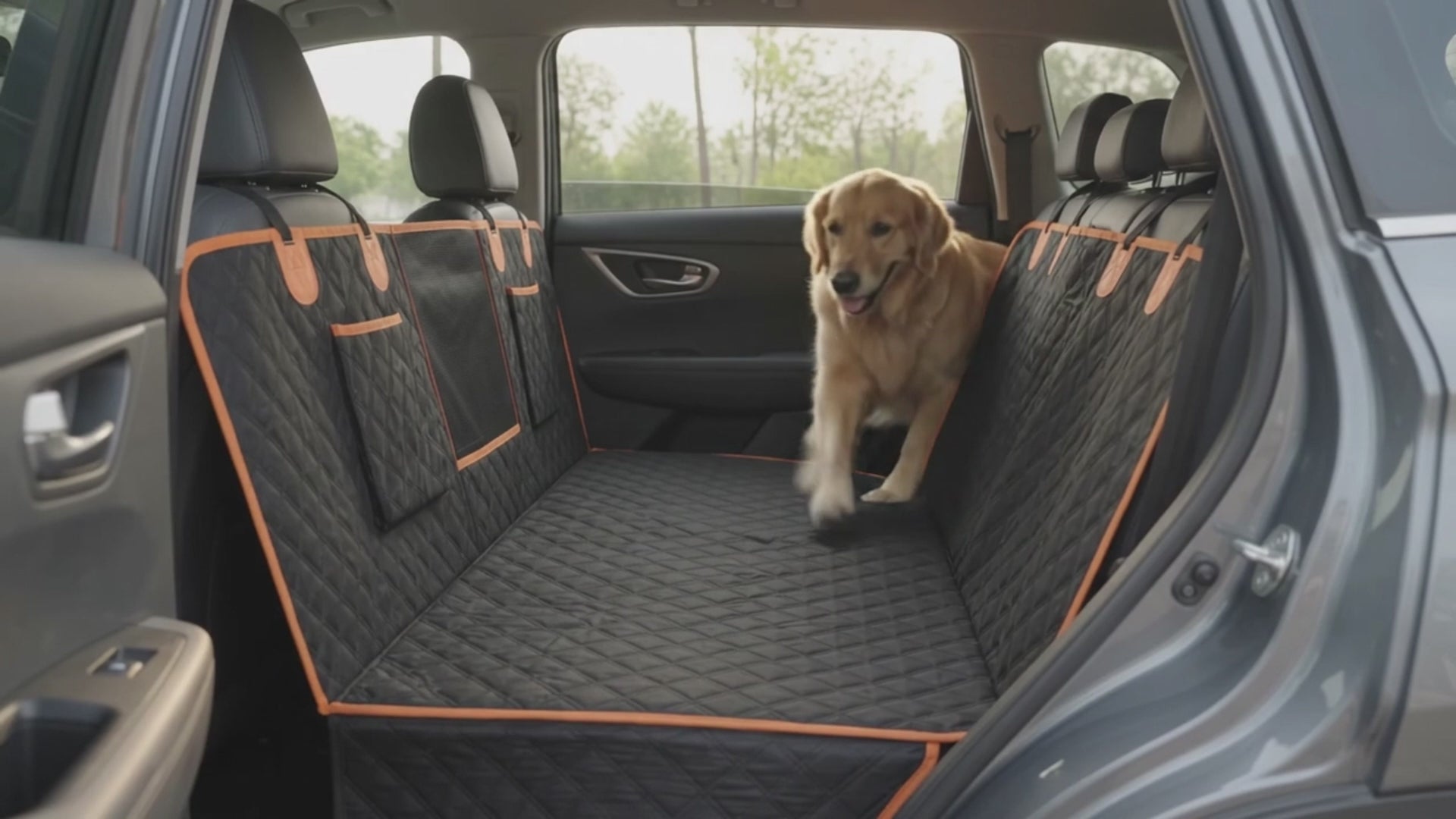Golden retriever steps onto the flat TrekFold base, turns and lies down